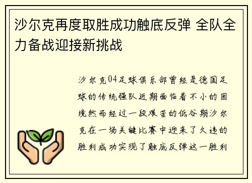 沙尔克再度取胜成功触底反弹 全队全力备战迎接新挑战